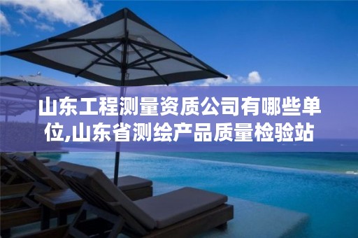 山东工程测量与测绘质检单位概览 资质公司及评估机构解析